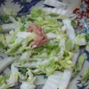 白菜がたくさん食べれる♪簡単サラダ☆☆